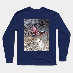 Cataglyphis Bicolor Long Sleeve T-Shirt